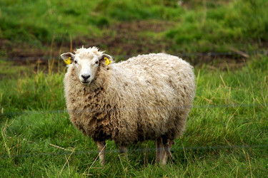 Similar image 1594413