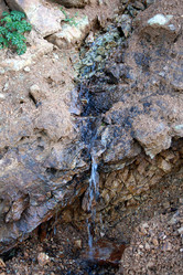 Similar image 1594495