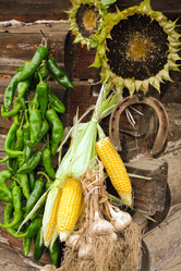 Similar image 1594603