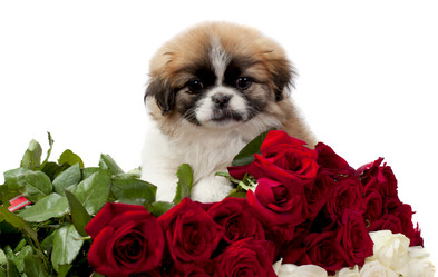 Similar image 1594794