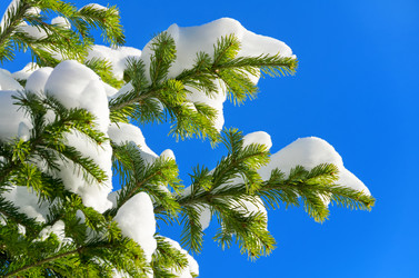 Similar image 1594795