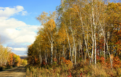 Similar image 1594823