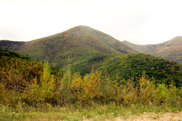 Similar image 1594830