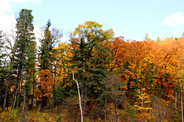 Similar image 1594834