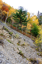 Similar image 1594844