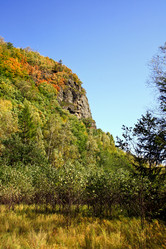 Similar image 1594845