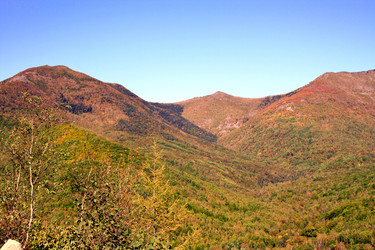 Similar image 1594847