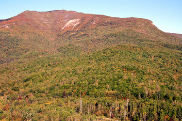 Similar image 1594848