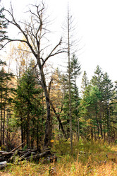 Similar image 1594850