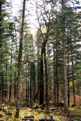 Similar image 1594851