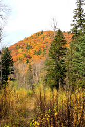 Similar image 1594852