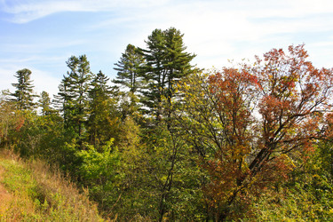 Similar image 1594854