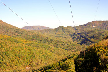 Similar image 1594855