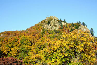 Similar image 1594860