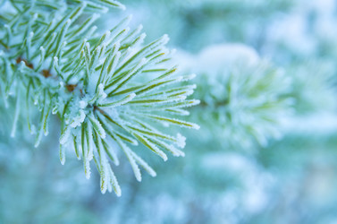 Similar image 1594866