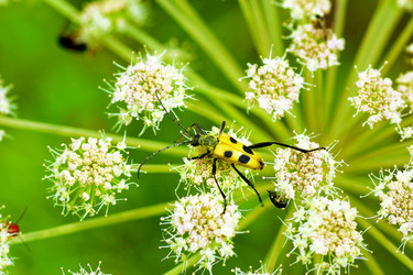 Similar image 1594895