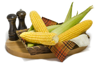 Similar image 1594936