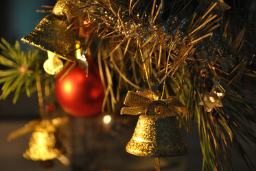 Similar image 1594971