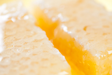 Similar image 1595070