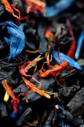 Similar image 1595073