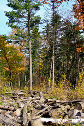 Similar image 1595104