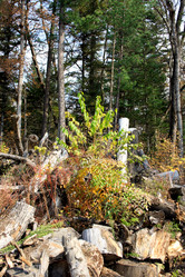 Similar image 1595105