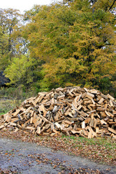 Similar image 1595106