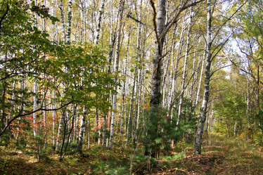 Similar image 1595120