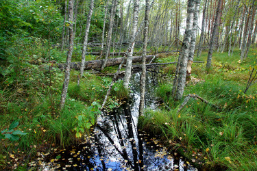 Similar image 1595133