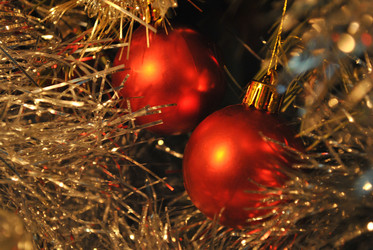 Similar image 1595144