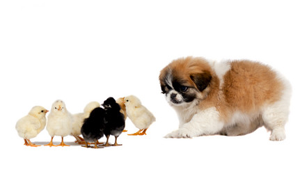 Similar image 1595148