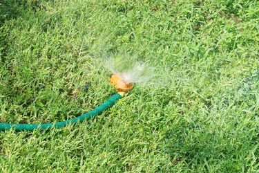 Similar image 1595184