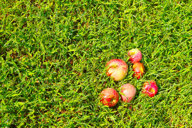 Similar image 1595186