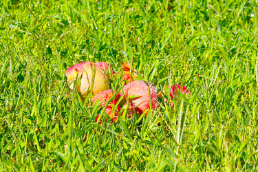 Similar image 1595188