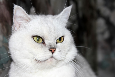 Similar image 1595192