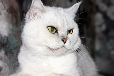 Similar image 1595193