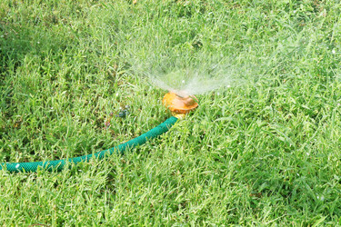 Similar image 1595197