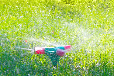 Similar image 1595200