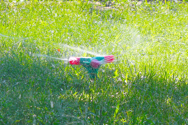 Similar image 1595204