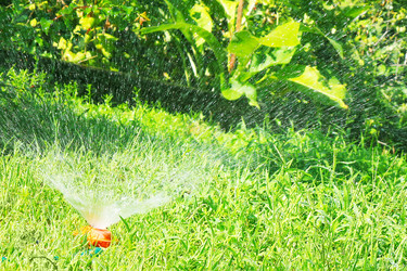 Similar image 1595209