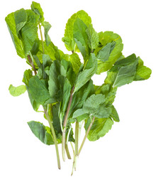 Similar image 1595348