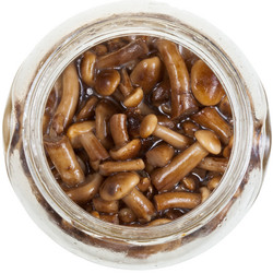 Similar image 1595361