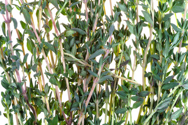 Similar image 1595380