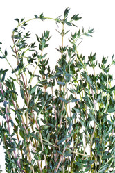 Similar image 1595381