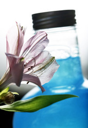 Similar image 1595528