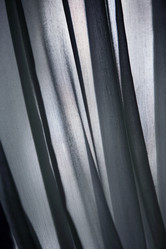 Similar image 1595564