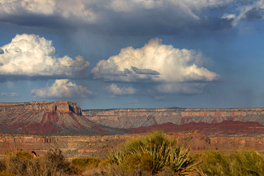 Similar image 1595612