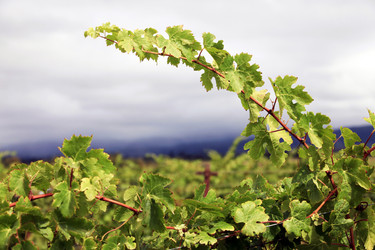 Similar image 1595623