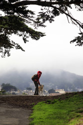 Similar image 1595627