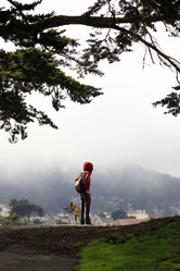 Similar image 1595631